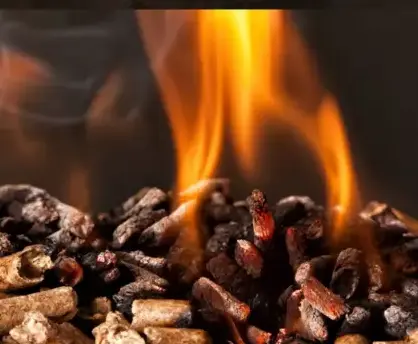 bûches de bois de chauffage livraison Bain-de-Bretagne-1