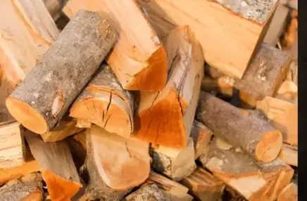 bûches de bois de chauffage livraison Bain-de-Bretagne-2