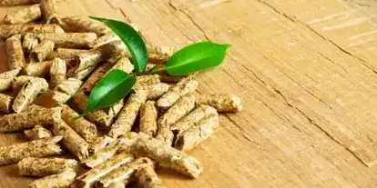 bûches de bois de chauffage livraison Cesson-Sévigné-5