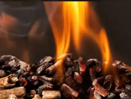 bûches de bois de chauffage livraison Dinan-2