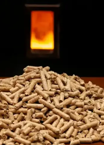 bûches de bois de chauffage livraison Fougères-1