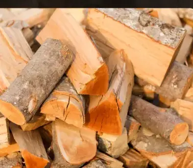 bûches de bois de chauffage livraison Janzé-1