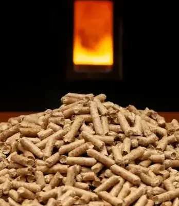 bûches de bois de chauffage livraison Janzé-2