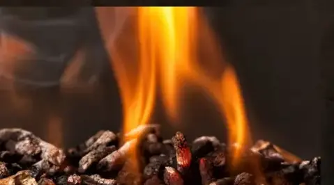 bûches de bois de chauffage livraison Janzé-4
