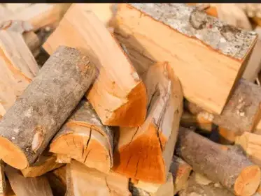 bûches de bois de chauffage livraison Rennes-1