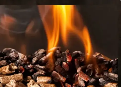 bûches de bois de chauffage livraison Rennes-2
