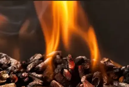 bûches de bois de chauffage livraison Saint-Malo-1