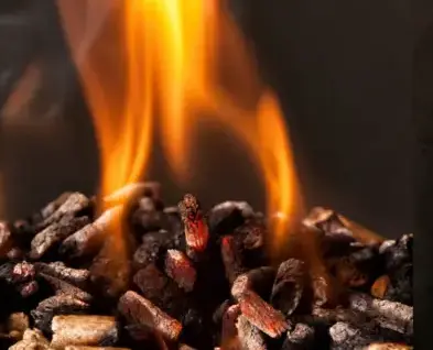 fournisseur de granulés de bois Cesson-Sévigné-2