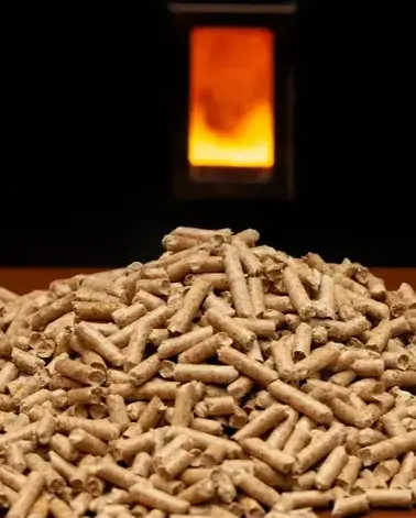fournisseur de granulés de bois Saint-Malo-1