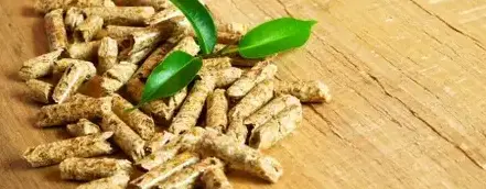 fournisseur de pellets de bois Bain-de-Bretagne-5