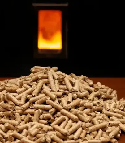 fournisseur de pellets de bois Betton-2