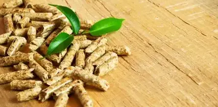 fournisseur de pellets de bois Dinan-1