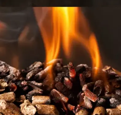 fournisseur de pellets de bois Dinan-2