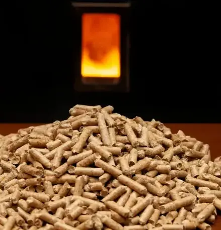 fournisseur de pellets de bois Dinan-4