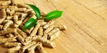 fournisseur de pellets de bois Dinard-3