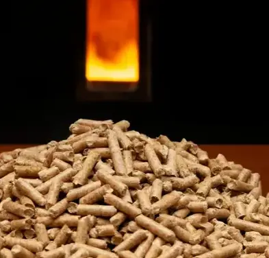 fournisseur de pellets de bois Dinard-4