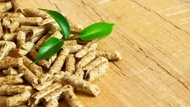 fournisseur de pellets de bois Rennes-4