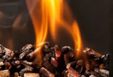 fournisseur de pellets de bois Saint-Malo-2