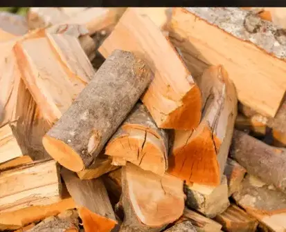 fournisseur de pellets de bois Saint-Malo-4