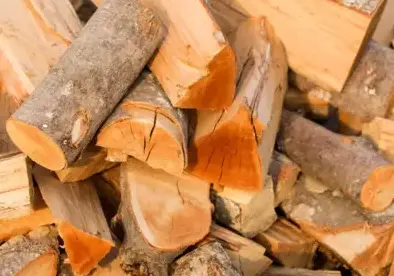 livraison bois de chauffage Bain-de-Bretagne-1