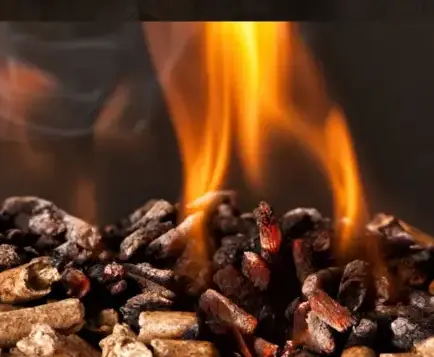 livraison bois de chauffage Dinan-1