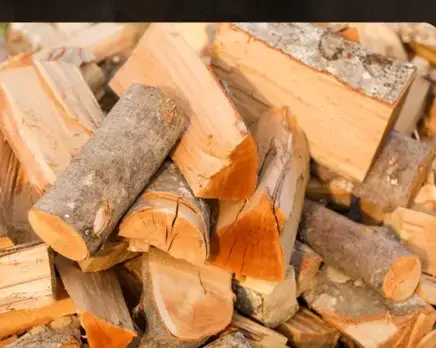 livraison bois de chauffage Dinard-5