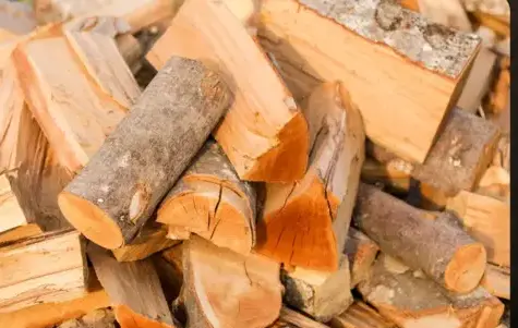 palette de bois de chauffage Bain-de-Bretagne-4