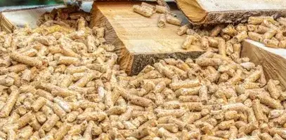 palette de bois de chauffage Betton-3