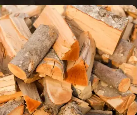 palette de bois de chauffage Betton-4