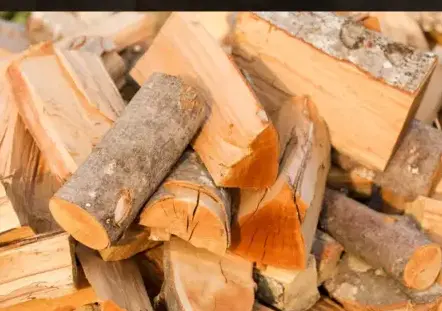 palette de bois de chauffage Cesson-Sévigné-5
