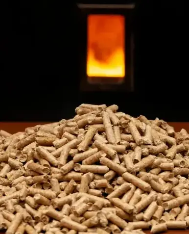 palette de bois de chauffage Châteaubourg-2