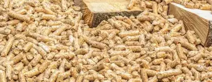 palette de bois de chauffage Dinan-5