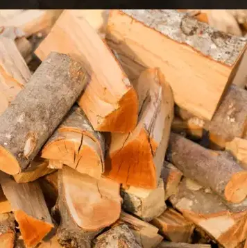 palette de bois de chauffage Fougères-4