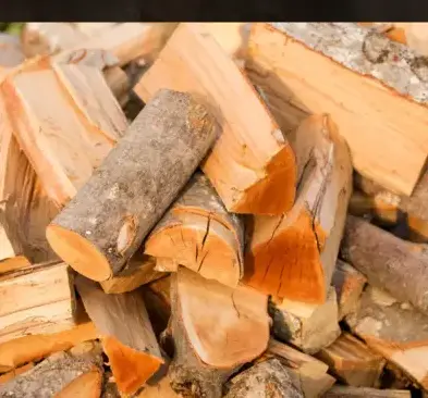 palette de bois de chauffage Rennes-3