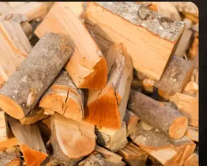 palette de bois de chauffage Saint-Malo-1