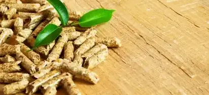 vente sciure de bois chauffage Bain-de-Bretagne-1
