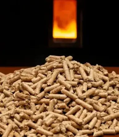vente sciure de bois chauffage Bain-de-Bretagne-3
