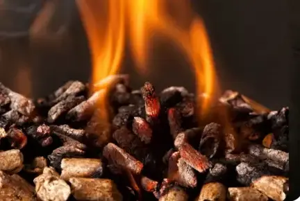 vente sciure de bois chauffage Bain-de-Bretagne-4