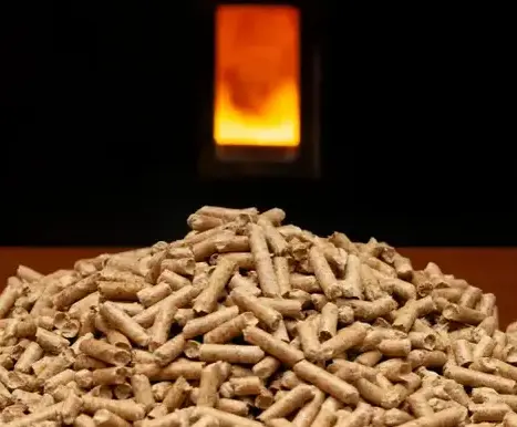 vente sciure de bois chauffage Châteaubourg-1