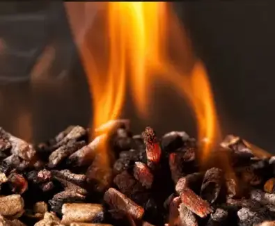 vente sciure de bois chauffage Châteaubourg-4