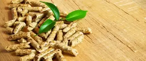 vente sciure de bois chauffage Châteaubourg-5