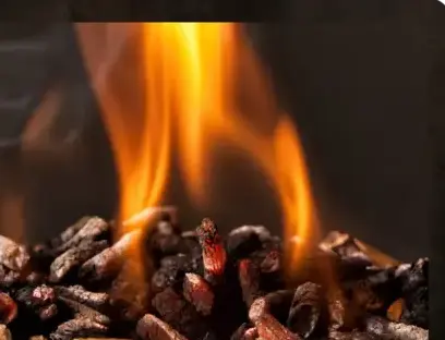 vente sciure de bois chauffage Dinan-1