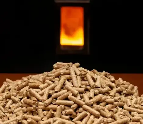 vente sciure de bois chauffage Dinan-4
