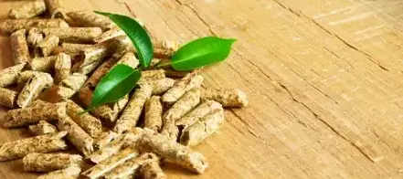 vente sciure de bois chauffage Dinard-1