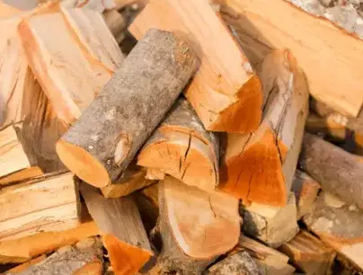 vente sciure de bois chauffage Dinard-3