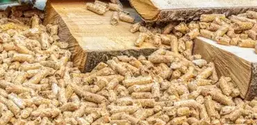 vente sciure de bois chauffage Dinard-5