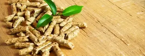 vente sciure de bois chauffage Fougères-1