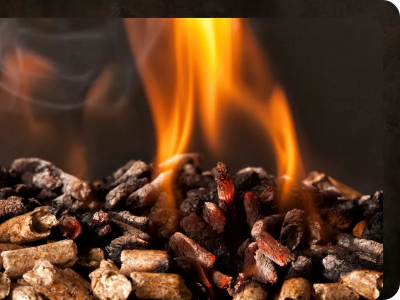 vente sciure de bois chauffage fougeres