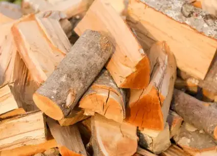 vente sciure de bois chauffage Fougères-2