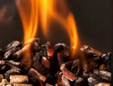 vente sciure de bois chauffage Fougères-3